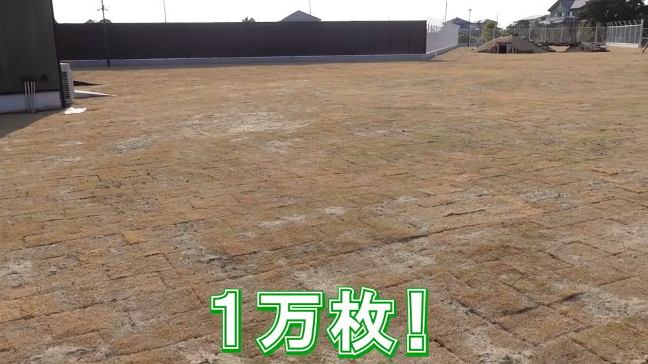 坂上忍、保護犬・猫と暮らす「さかがみ家」完成の画像