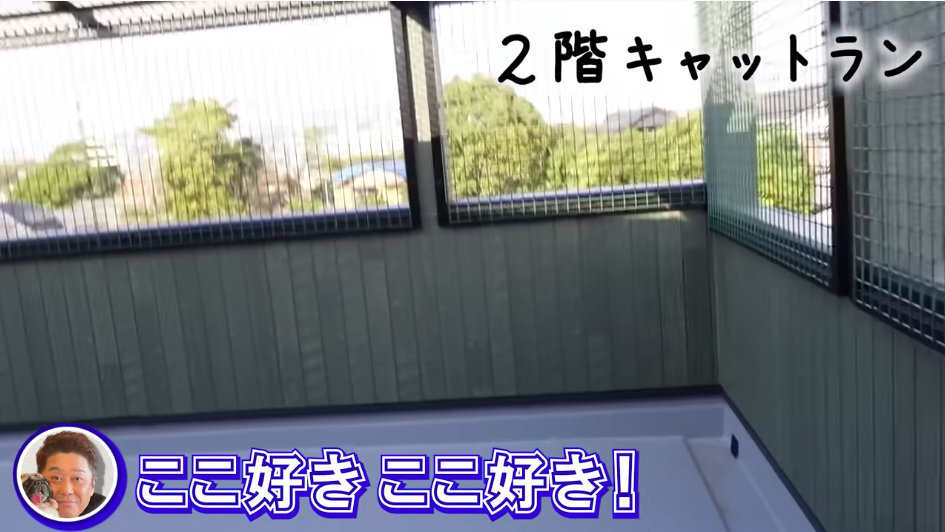 坂上忍、保護犬・猫と暮らす「さかがみ家」完成の画像