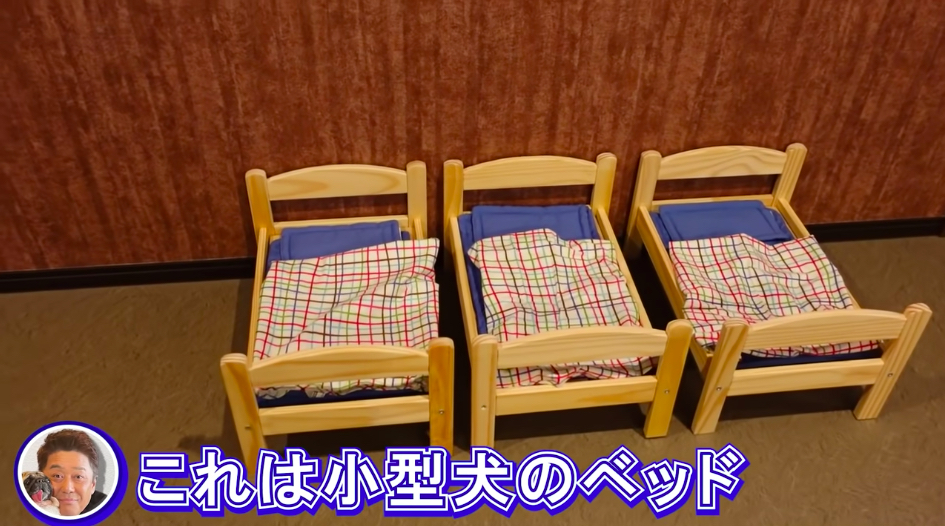 坂上忍、保護犬・猫と暮らす「さかがみ家」完成の画像