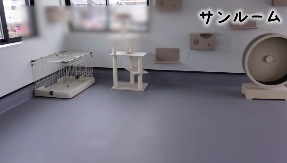 坂上忍、保護犬・猫と暮らす「さかがみ家」完成の画像