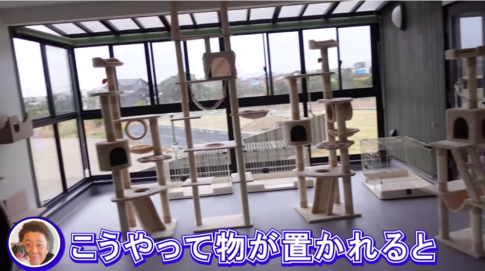 坂上忍、保護犬・猫と暮らす「さかがみ家」完成の画像