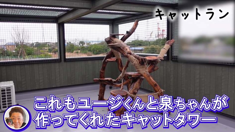 坂上忍、保護犬・猫と暮らす「さかがみ家」完成の画像