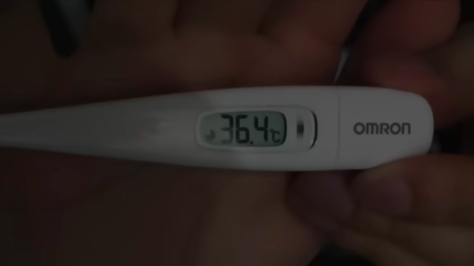 はじめしゃちょー、隔離生活を伝えるの画像