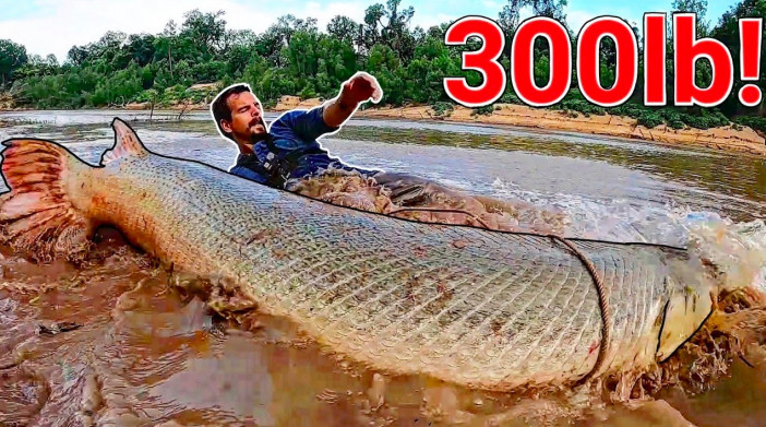 推定136kgにも及ぶ巨大魚を海外YouTuberが捕獲　ニュースにも取り上げられた「アリゲーターガー」とは？