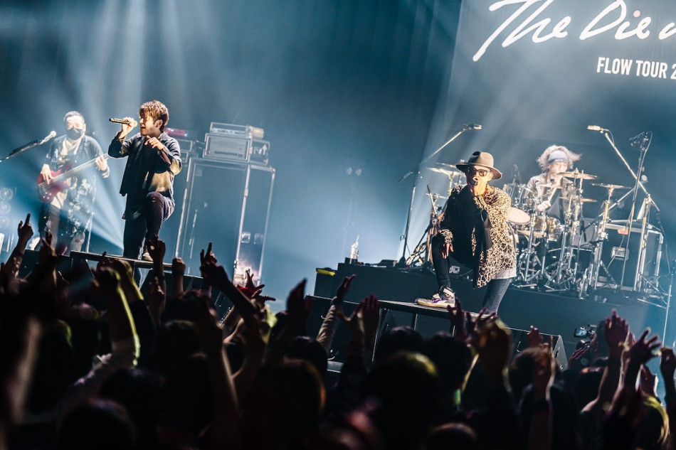 7点セット‼️FLOW ライブ DVD フロウ 未開封あり 公式ストア
