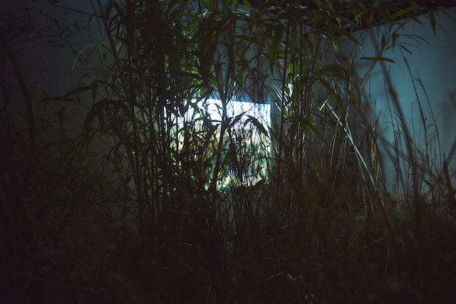 折坂悠太、初の展覧会『薮IN』内覧会レポート　変化する“藪”の中で体感する様々な感覚の画像2-1