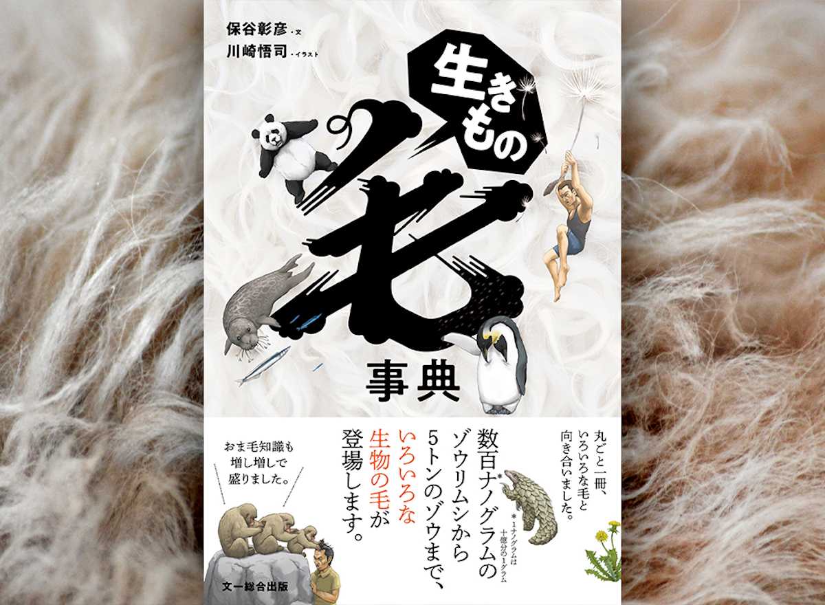日本初「毛の事典」が発売