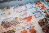 「浦安には新しい魚食文化のスタイルが渦巻いている」 鮮魚泉銀三代目・森田釣竿が語る、浦安と魚のディープな魅力