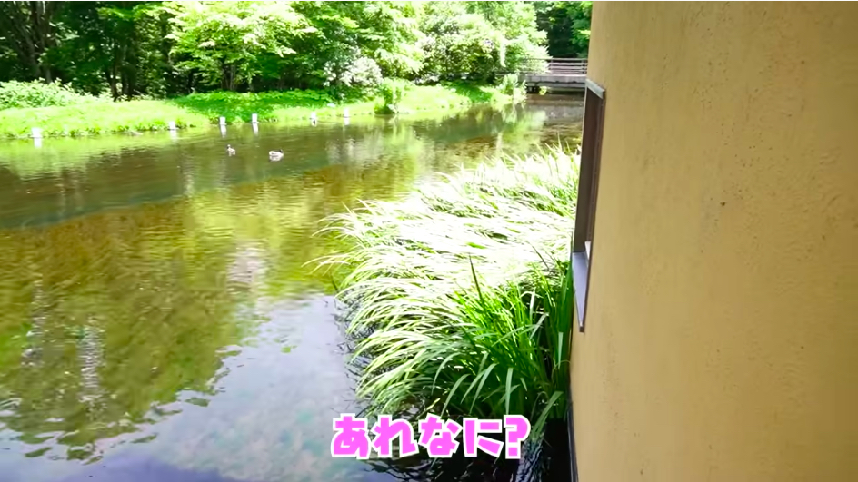 川口春奈、2年ぶりの母娘共演に反響　YouTube開設以来の親子動画は再び人気コンテンツにの画像