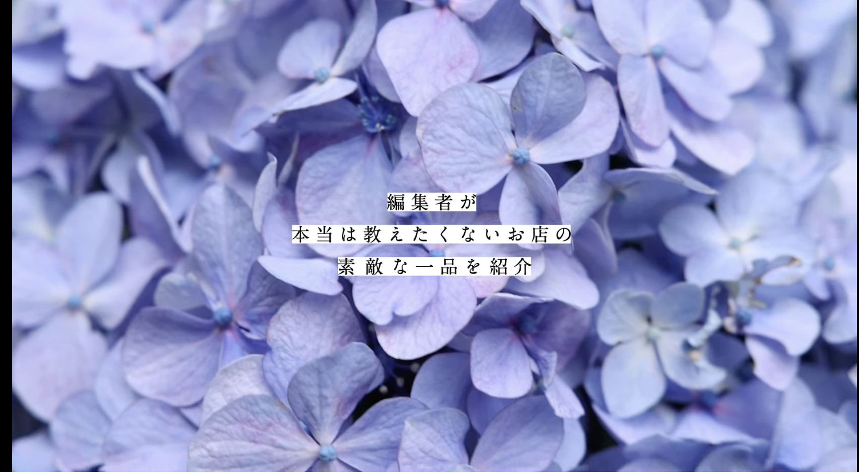 「編集者の手土産」がスタートの画像