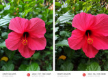 ライカカメラ搭載スマホ『Xiaomi 12S Ultra』の画像
