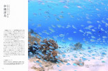にほんの海の写真集刊行の画像