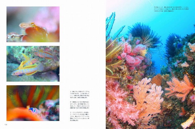 にほんの海の写真集刊行の画像