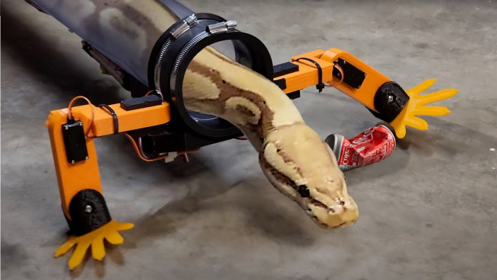 ヘビが4足歩行できる装置を作ったアメリカのYouTuber　可愛らしいヘビの様子を動画で公開
