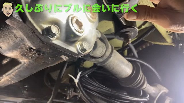 ロンブー田村亮、「日産ブルーバード」を蘇らせるの画像