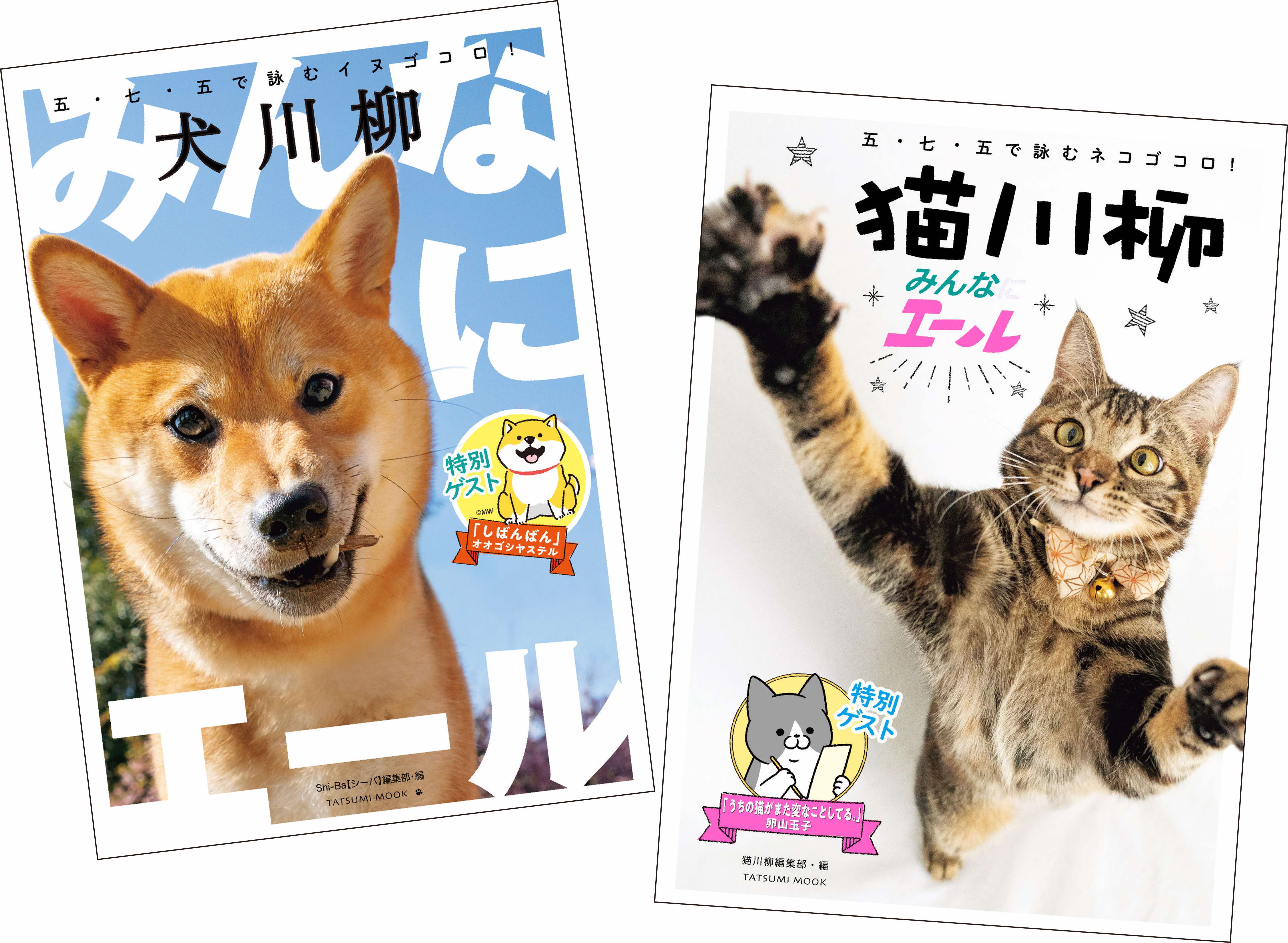 犬猫写真で詠む川柳を募集の画像