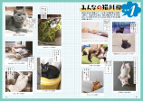 犬猫写真で詠む川柳を募集の画像