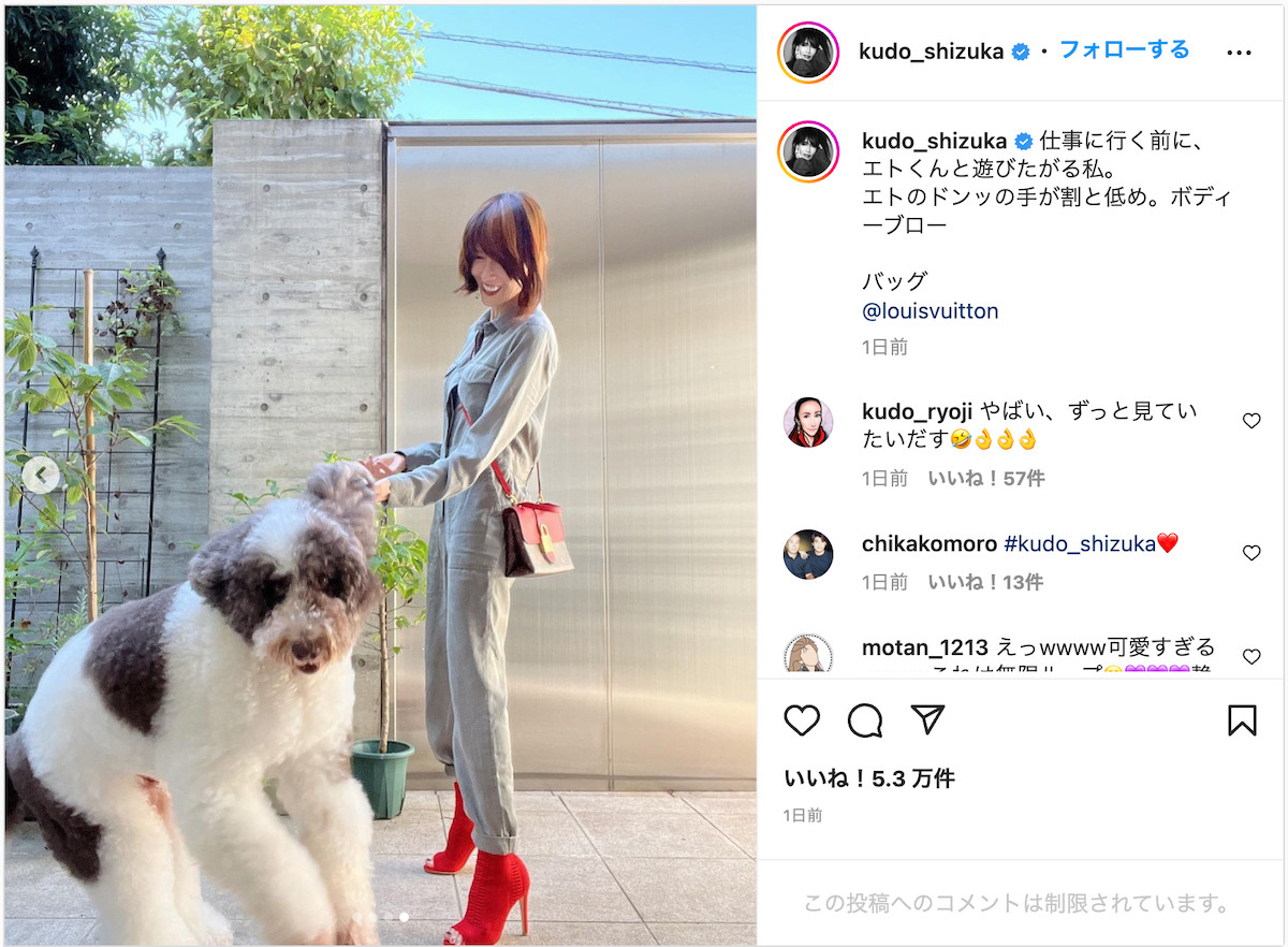 工藤静香、愛犬エトからボディーブロー食らう衝撃の瞬間 仲良し