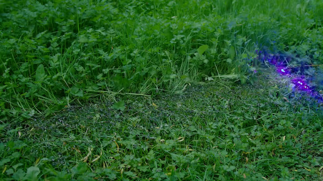 レーザーで草を刈る自動機械の画像