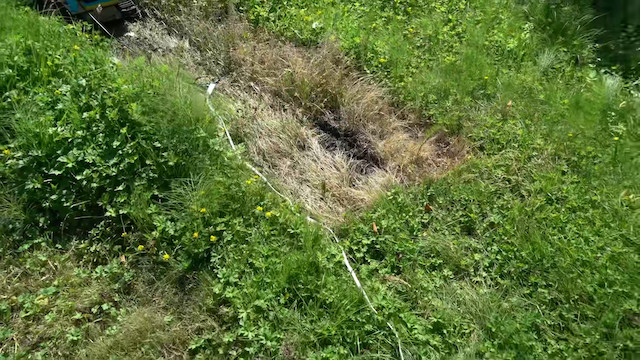 レーザーで草を刈る自動機械の画像