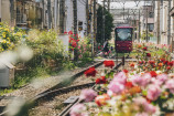 日本各地の美しい写真の画像