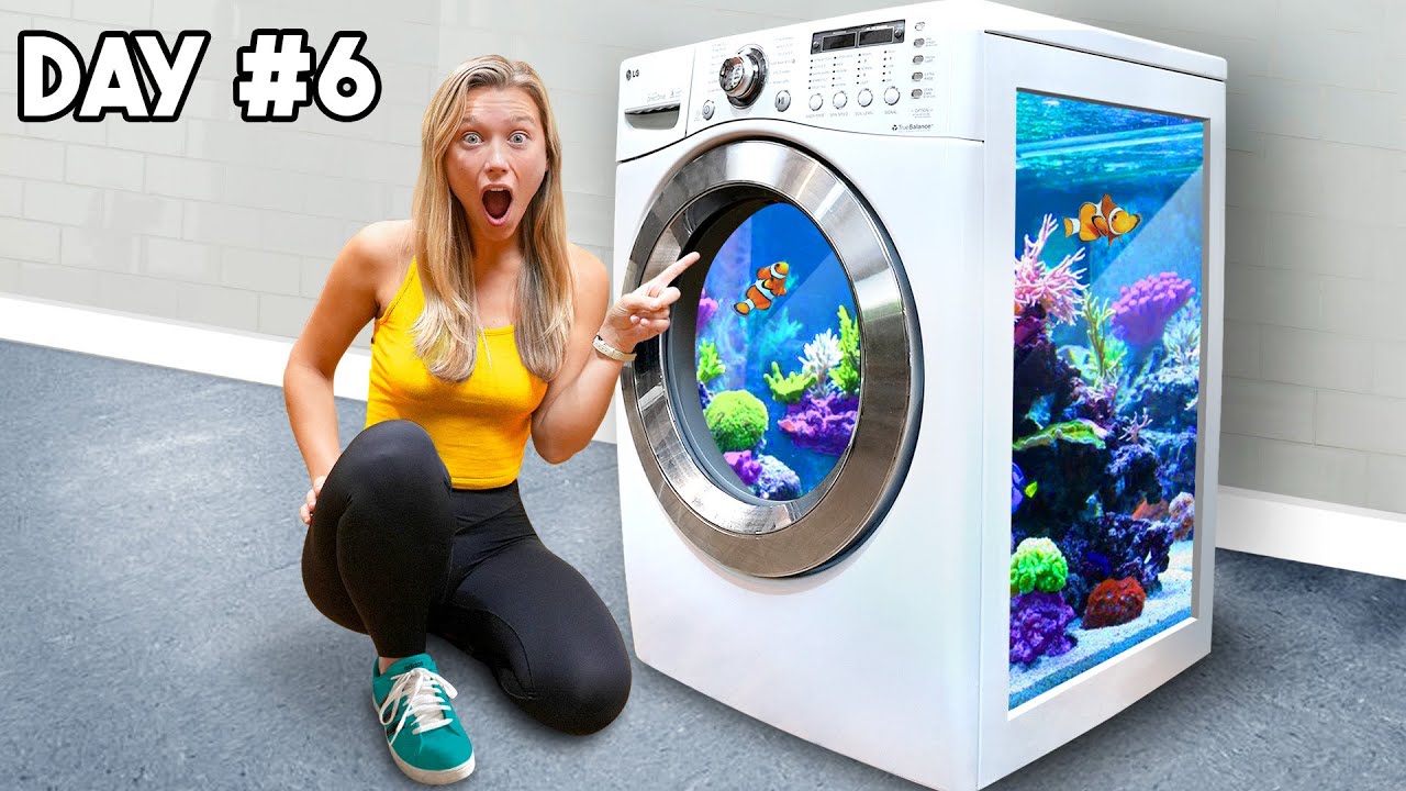 ドラム式洗濯機をアクアリウムに変えてしまう