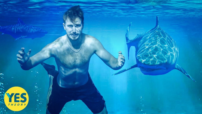 人をも食べる危険なサメを間近で撮影　海外YouTuberによる驚異の企画