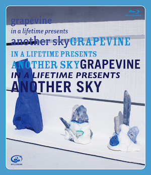 『in a lifetime presents another sky』（Blu-ray＋LIVE CD）の画像