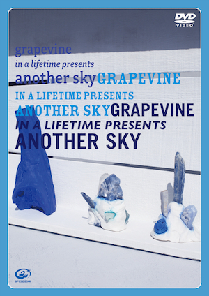 『in a lifetime presents another sky』（DVD＋LIVE CD）の画像