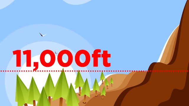 世界でもっとも高い？ツリーハウスの画像