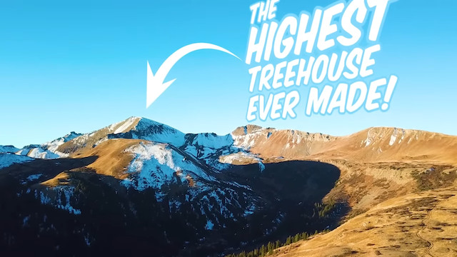 世界でもっとも高い？ツリーハウスの画像