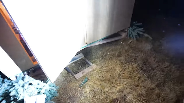 世界でもっとも高い？ツリーハウスの画像