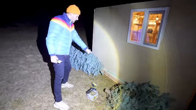 世界でもっとも高い？ツリーハウスの画像