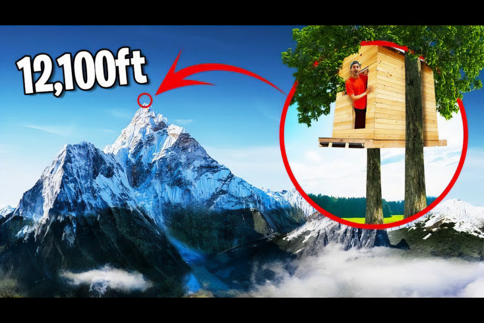 世界でもっとも高い？ツリーハウス