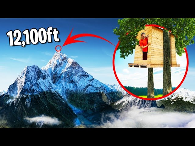 世界でもっとも高い？ツリーハウスの画像