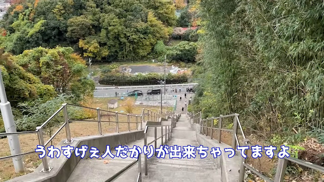 朝倉海も「BreakingDown」動画が大バズりの画像