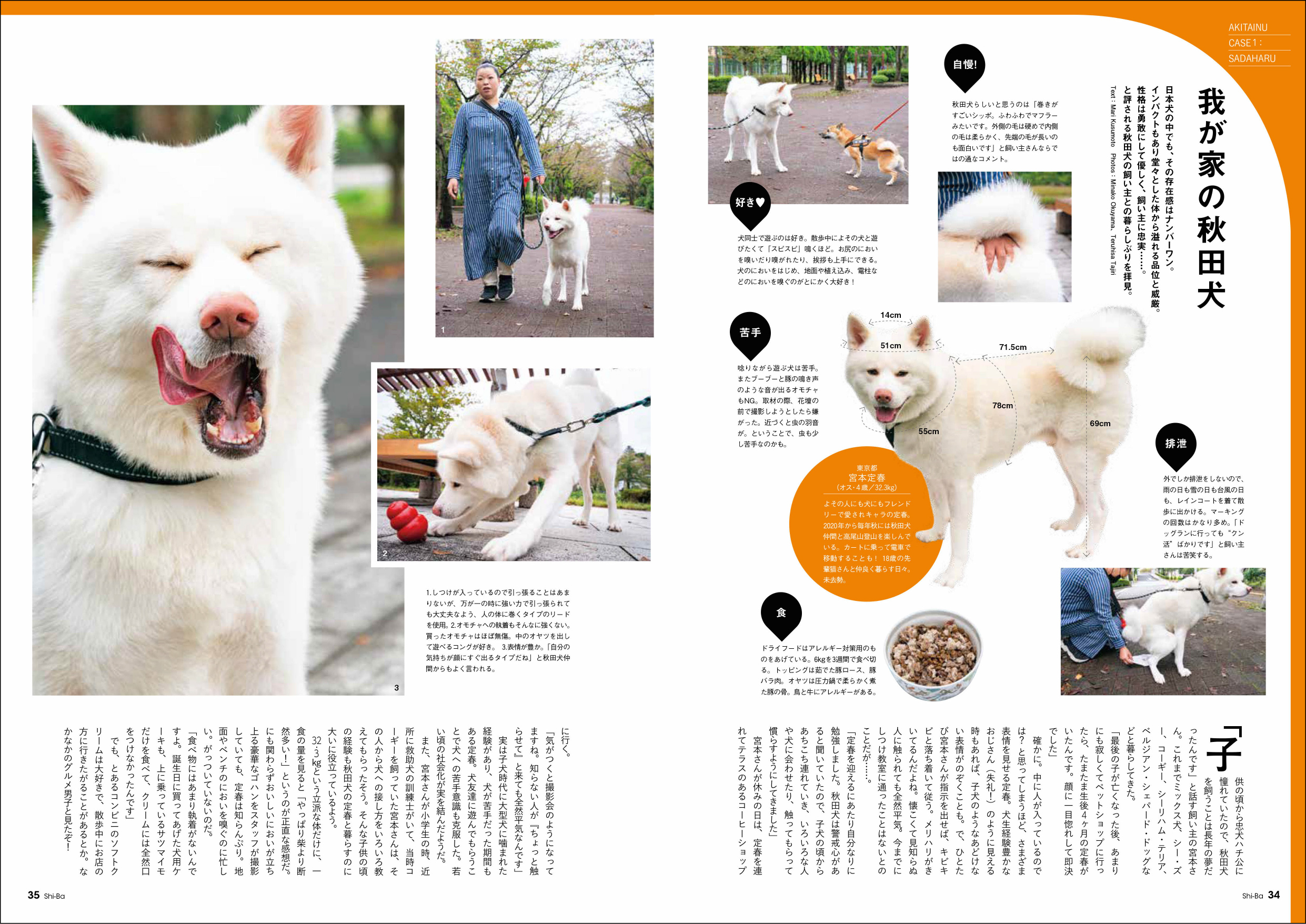 『Shi-Ba』可愛らしい「秋田犬」特集の画像