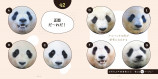 パンダだらけのクイズ本の画像