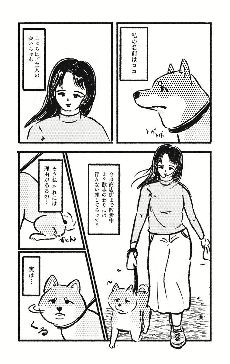 【漫画】柴犬の杞憂の画像