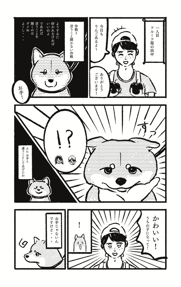 【漫画】柴犬の杞憂の画像