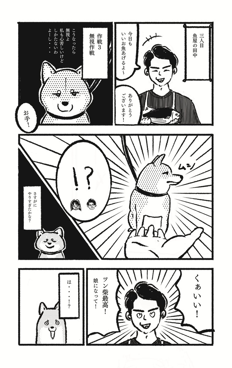 【漫画】柴犬の杞憂の画像