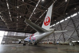 JAL特別塗装機『JAL DREAM EXPRESS Disney100』運行開始！の画像