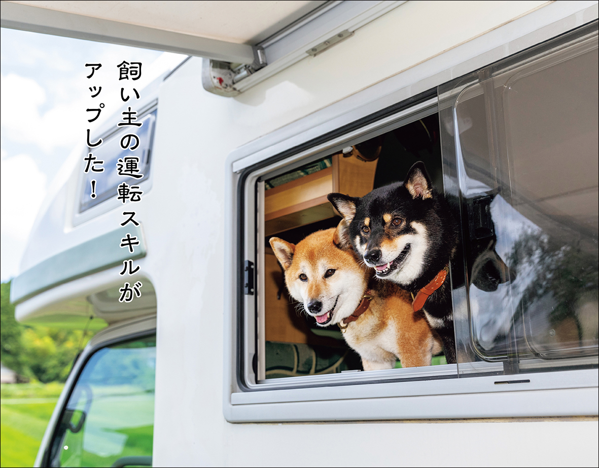 柴犬カレンダー発売中の画像