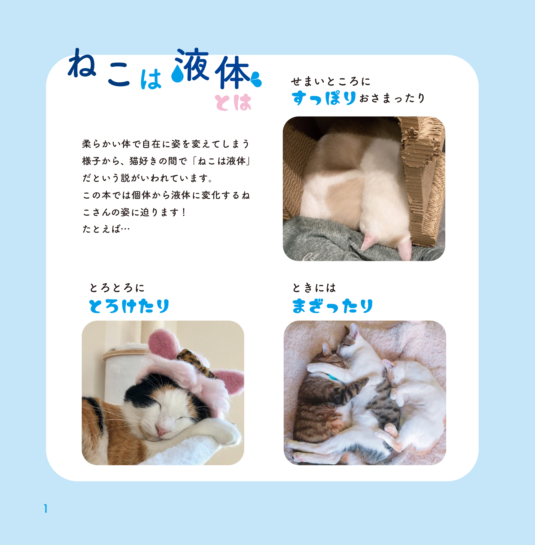 写真集『ねこは液体』発売の画像