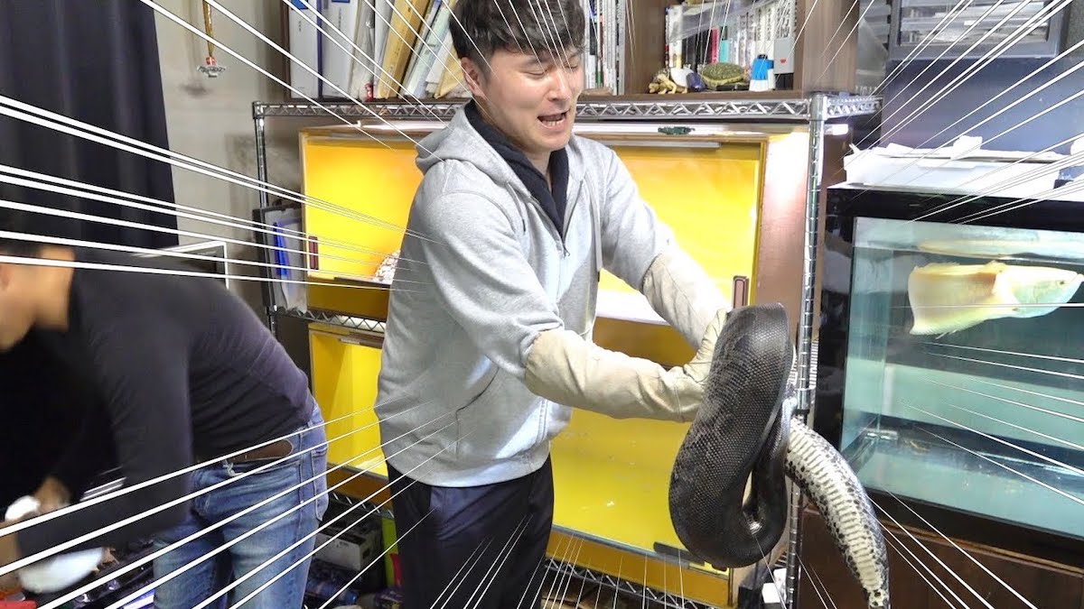 急上昇頻出の生物系YouTuber、ちゃんねる鰐