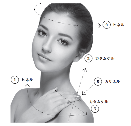 美人なしぐさを伝える本とはの画像