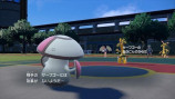 『ポケモン S・V』シングルバトルの環境を考察の画像