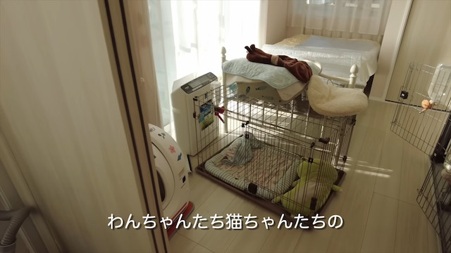 元乃木坂46・井上小百合、注文住宅を建てるの画像