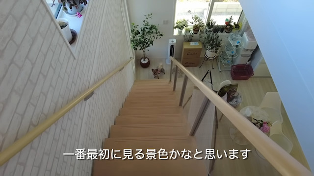 元乃木坂46・井上小百合、注文住宅を建てるの画像