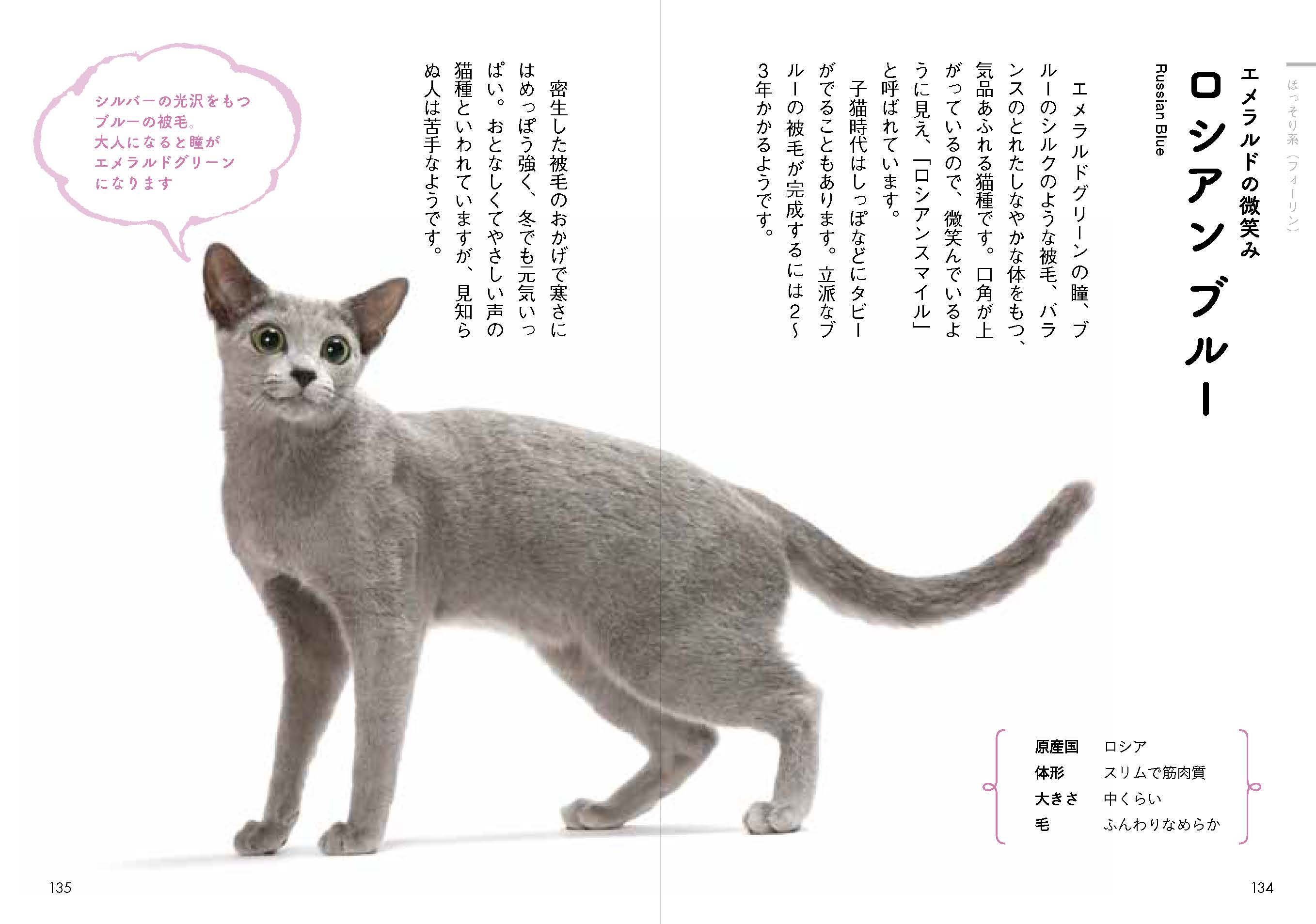 小鳥・猫のポケットサイズの図鑑が話題の画像